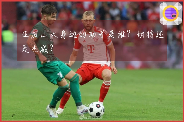 亚历山大身边的助手是谁？切特还是杰威？