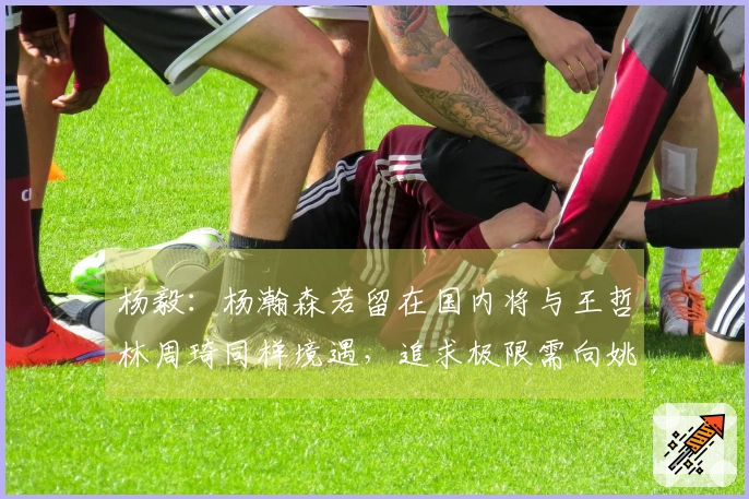 杨毅：杨瀚森若留在国内将与王哲林周琦同样境遇，追求极限需向姚明学习